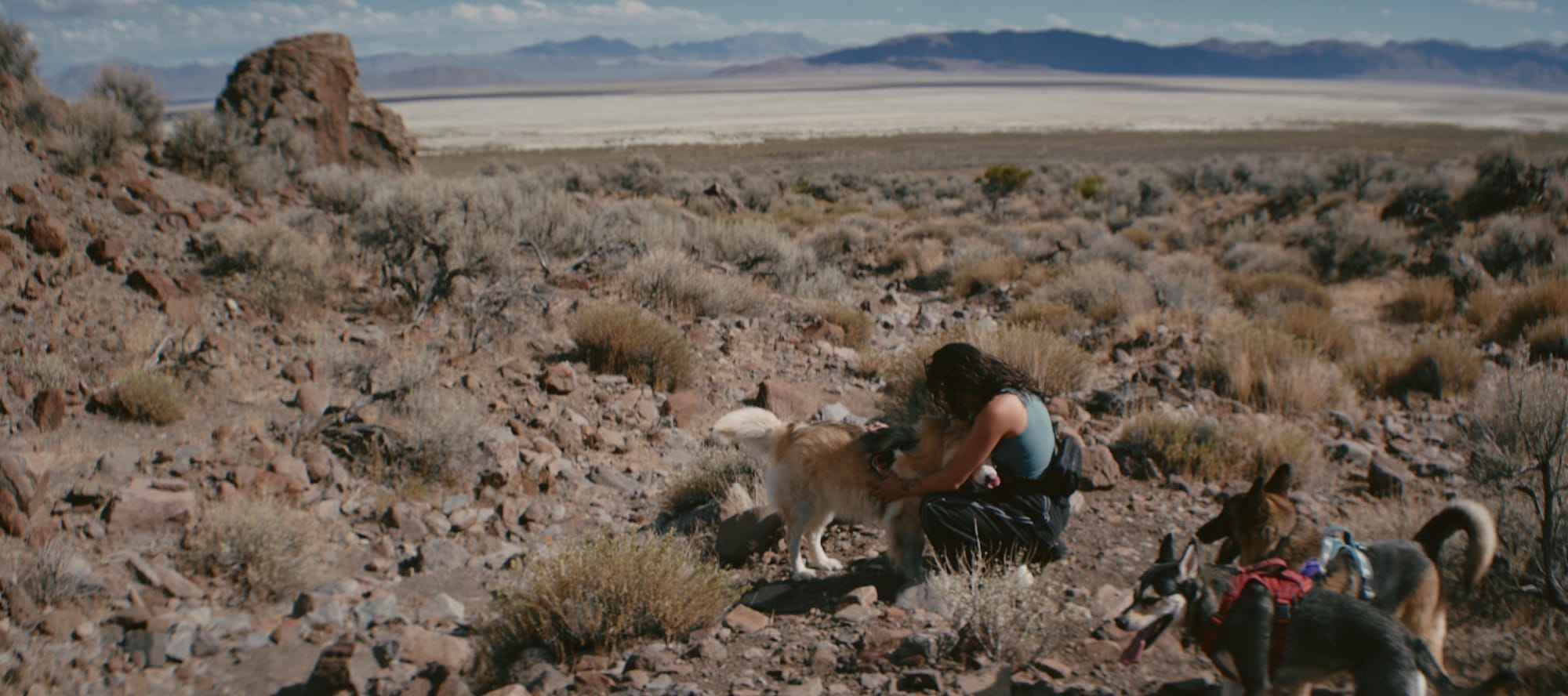 A person kneels among rocks and sagebrush with three dogs, above a white playa and distant mountains.