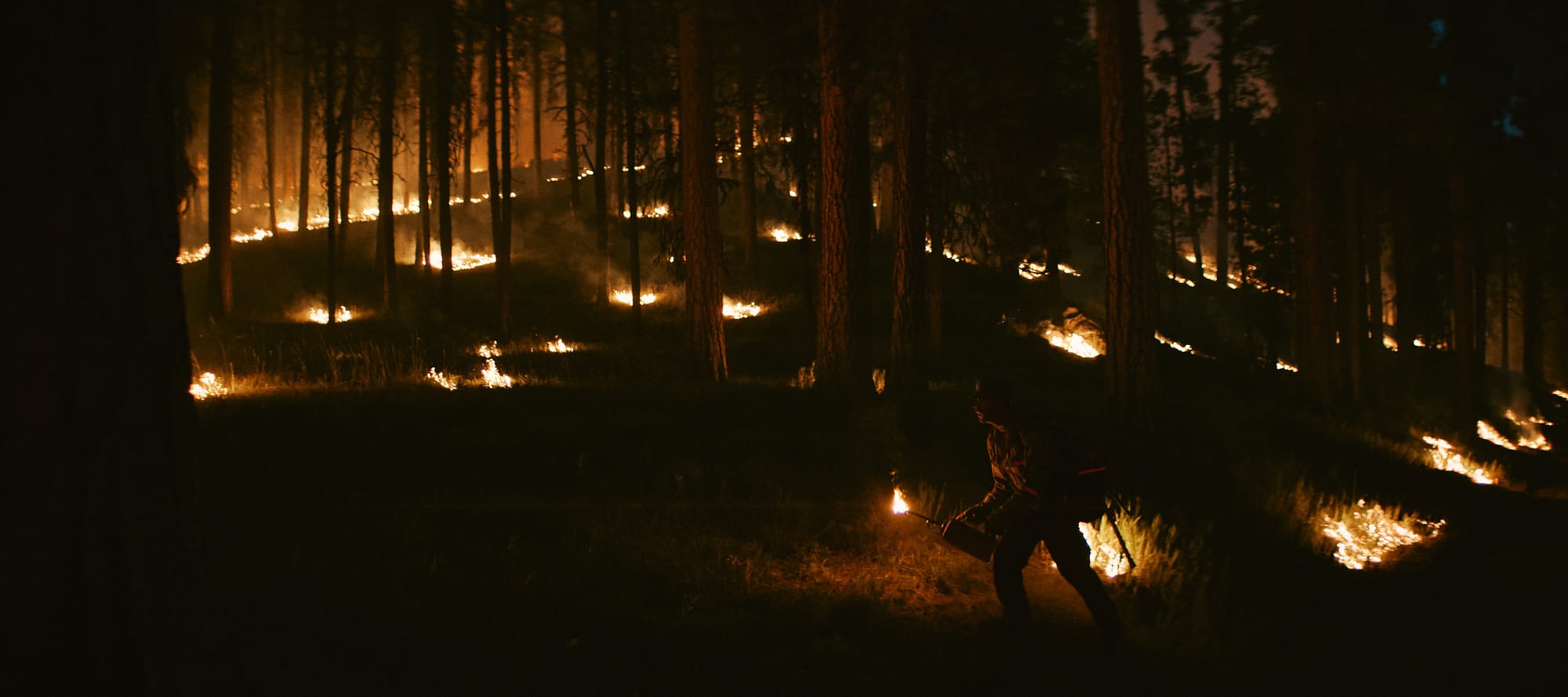 A firefighter crouches with a drip torch among dark pines while small fires glow across the slope behind.