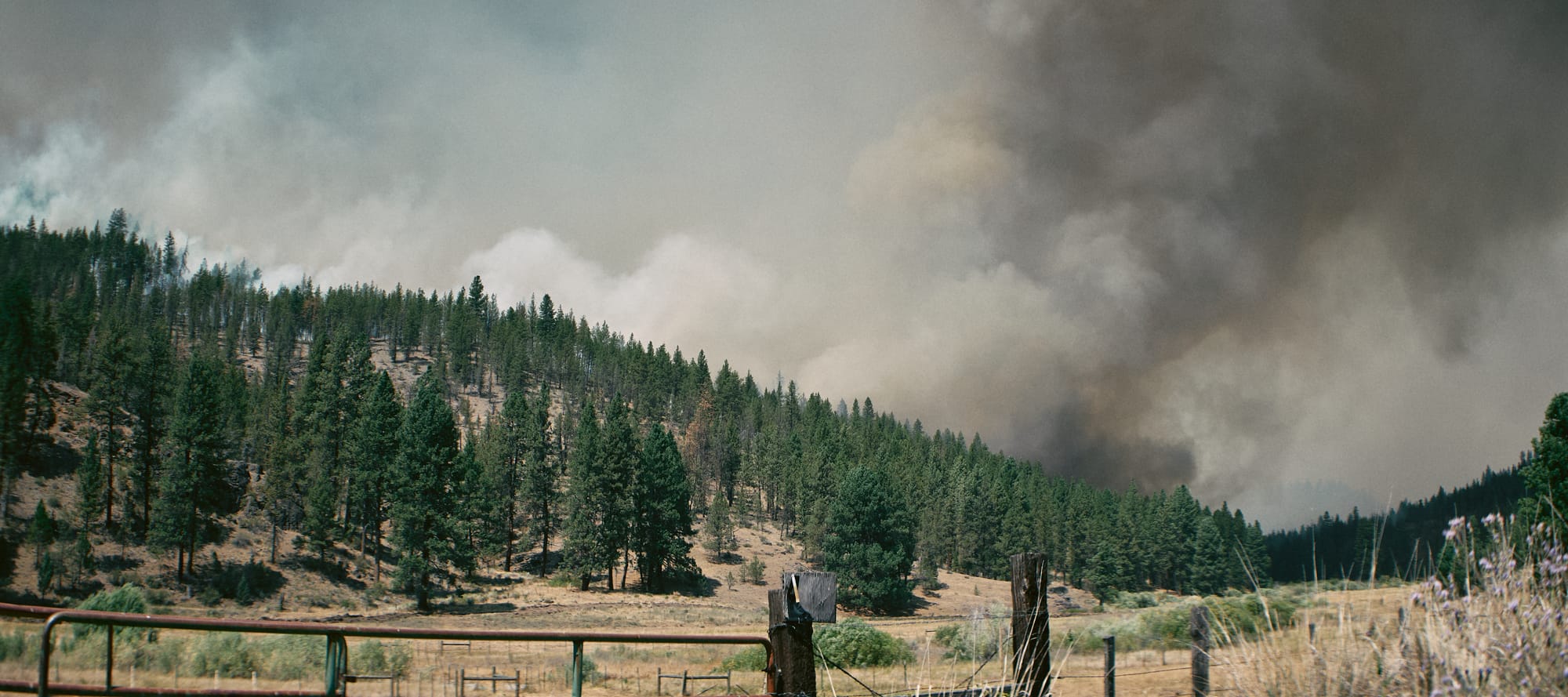 A smoke column rises over a pine-covered hill beyond a ranch fence and a dry meadow.
