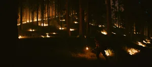 Rowe Creek Fire - "Burn II"