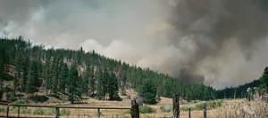 Rowe Creek Fire - "The Ochoco Nat'l Forest"